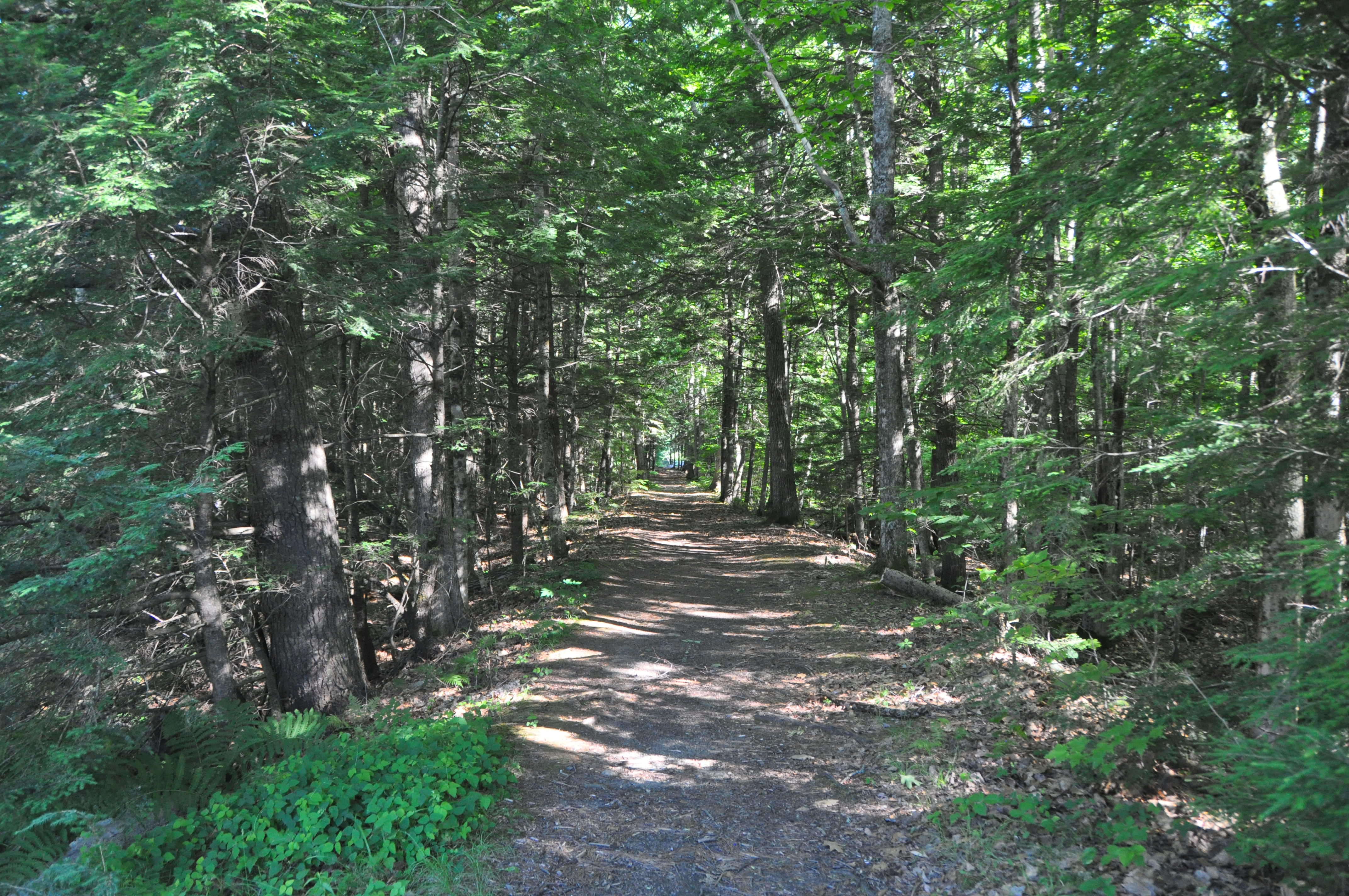 Suspension Bridge – Manson Park – Pittsfield Maine – Catching Marbles